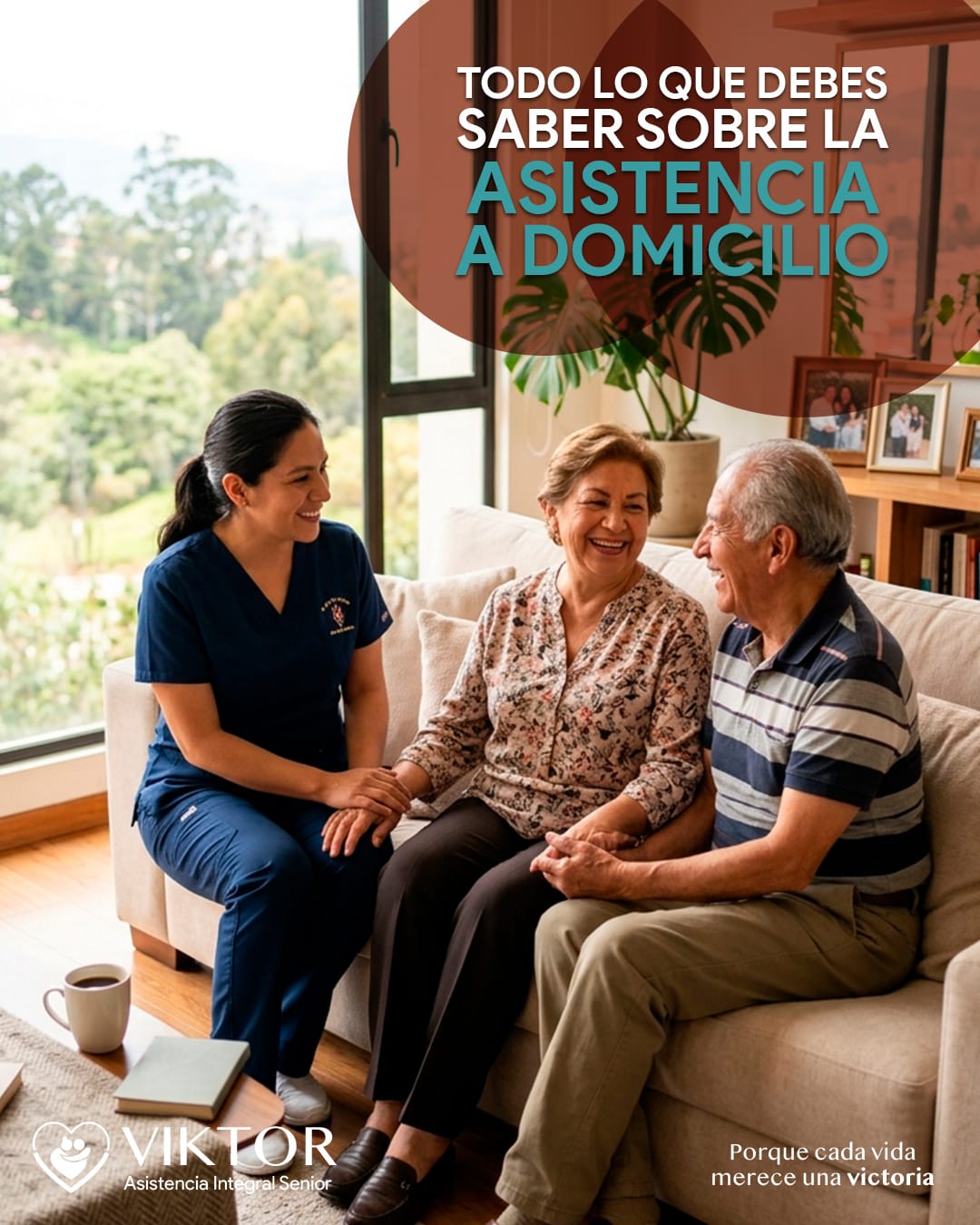 asistencia a domicilio a adultos mayores asistencia a domicilio a adultos mayores